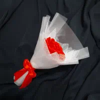 گل ابدی|گل مصنوعی|قم, کلهری|دیوار