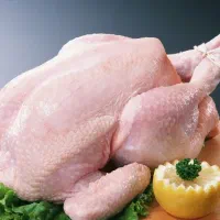 سینه مرغ وشنیسل و ران سایز مرغ شمال|عمده‌فروشی|هشتگرد, فاز ۱ مهستان|دیوار