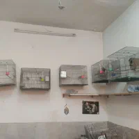 ارزانترین قیمت