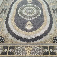 فرش سپیدار|فرش|زنجان, |دیوار