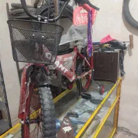 دوچرخه20