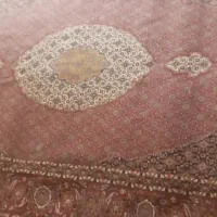 6 متری فرش|فرش|زاهدان, |دیوار