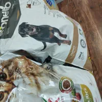 مونلو رفلکس هپی جوسرا فیدار