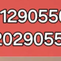 سیم کارت  دائمی