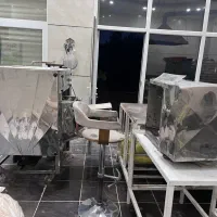 نیروی وارد جهت کار در خشک پزی (خانم)