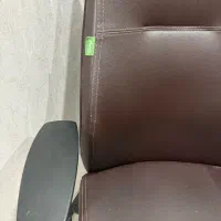 صندلی|صندلی و نیمکت|رشت, کاکتوس|دیوار