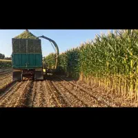 اجاره زمین گوجه