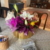 گل طبیعی هوشنگ جردن