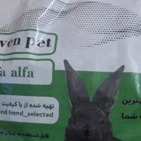 غذای خرگوش