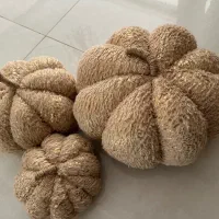 کدو تزئینی دکوری