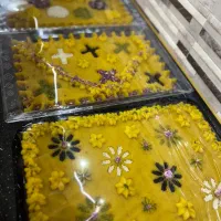 حلوا مجلسی