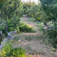 باغ و باغچه سند دار 80کیلو متری تهران