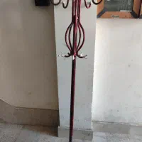 جا لباسی  ایستاده