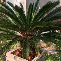 ویلایی جنوبی حاشیه هجرت /دوممر/مختص خاص پسندان