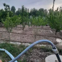 سلام-درود-باغ-در-روستای-نوده-چناران-550-متر