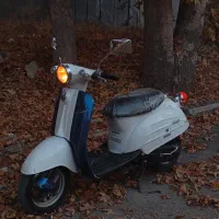 موتور پاکشتی سوزوکی ورد