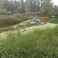 خریدار-زمین-مسکونی-بفروئیه