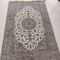 یک جفت اردکان 9 متری|فرش|اصفهان, سروستان|دیوار