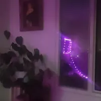 همخانه خانم با خانم