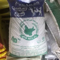 کنسانتره شیری و گوشتی