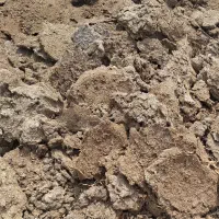 کود گاو و گوسفندی