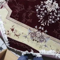 فرش|فرش|قم, آذر (نکویی)|دیوار