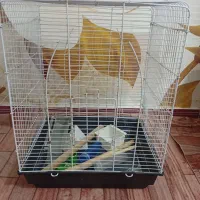 قفس پرنده