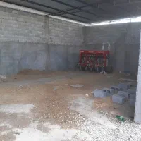 فروش گاوداری