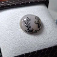 شجر قائن تک درخت