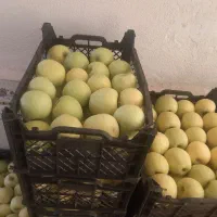 فروش سیب درختی تردوخوشمزه