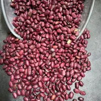 لوبیا چیتی و قرمز و چشم بلبلی و نخود و لپه و ماش و|خوردنی و آشامیدنی|تهران, منصوریه (پل سیمان)|دیوار