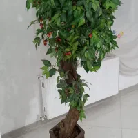 درخت گیلاس با تنه طبیعی گل و گلدون اشانتیون|گل مصنوعی|اسلامشهر, شهرک واوان|دیوار