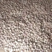 سیر کویر|خوردنی و آشامیدنی|سمنان, |دیوار