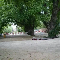 اجاره باغ تشریفات مجالس عروسی عقد