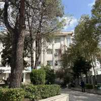 مشاور و برنامه ریزی ویژه عید