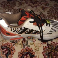 کفش زد ایکس|کیف، کفش، کمربند|کوهدشت, |دیوار