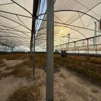 سازه گلخانه دست دوم در حد نو