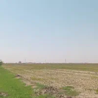 زمین کشاورزی