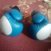دستکش بوکسadidas