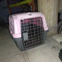 باکس و وسایل سگ و گربه همه باهم ۱۵۰۰