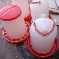 ۲ عدد جا آبی و دونی مرغ