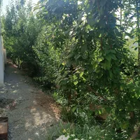 باغچه 600متری اتوبان آزادگان خیابان صفا|فروش خانه و ویلا|تهران, یافت‌آباد|دیوار