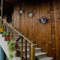 کلبه چوبی نوساز با طرح قدیم با ویوی جنگل|اجارهٔ کوتاه‌مدت ویلا و باغ|قائم‌شهر, |دیوار