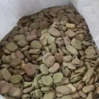 باقالی درجه یک|عمده‌فروشی|اهواز, فتح|دیوار