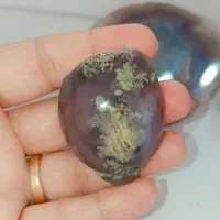 سنگ کلکسیونی شجر سلیمانی