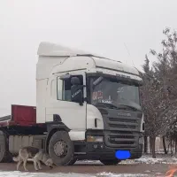 اسکانیاp340|خودرو سنگین|اشتهارد, |دیوار