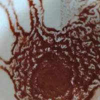 فال قهوه ی ارمنی دقیق سیلاو شهر معروف به قطب فال