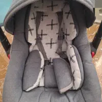 کریر دلیجان ،رورورک  دلیجان