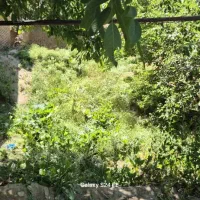 زمین کلنگی