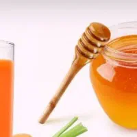 خوراک ارگانیک